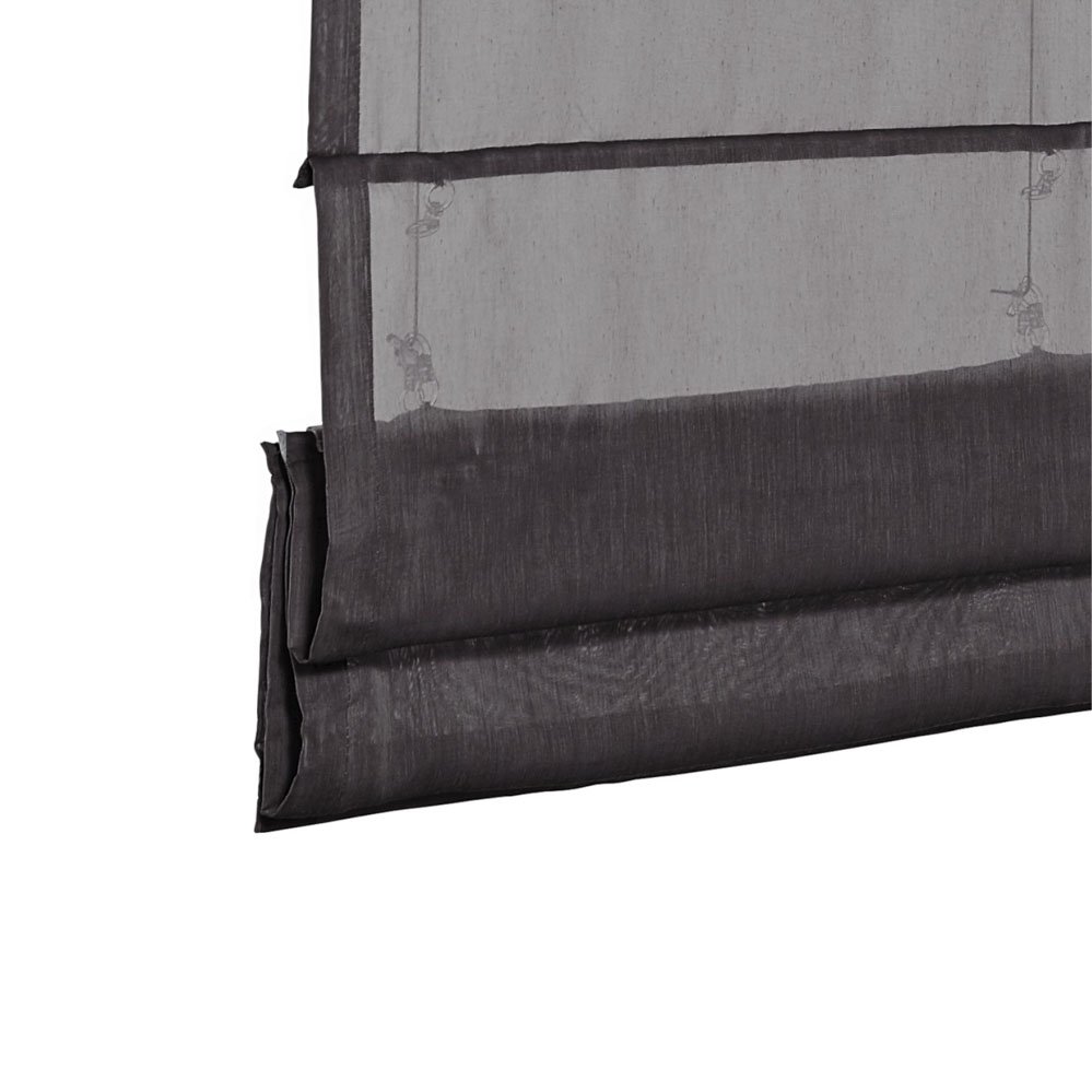 Verlaten krant steen Vouwgordijn antraciet zwart transparant - ilumio